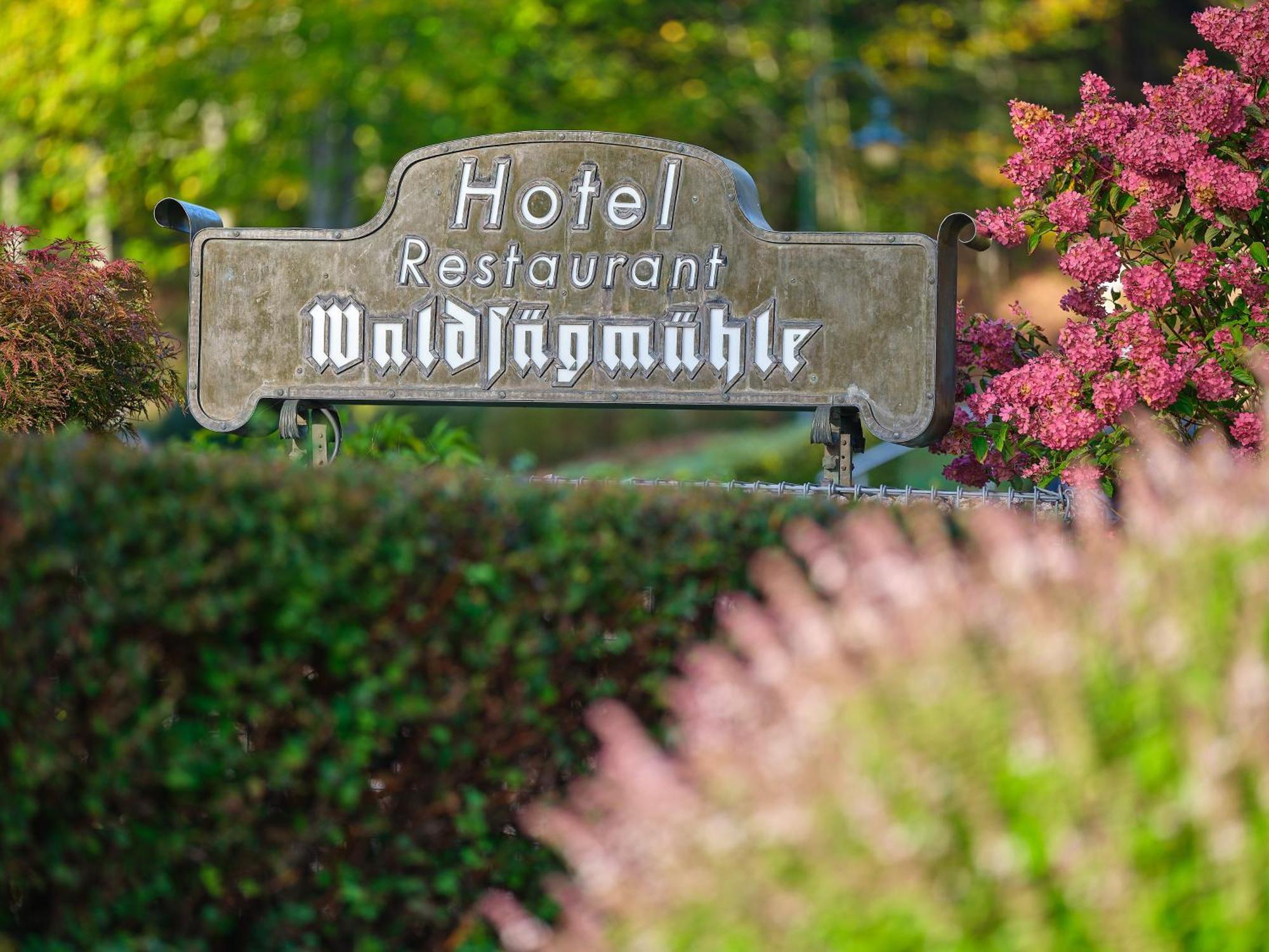Hotel Restaurant Waldsaegmuehle Pfalzgrafenweiler Exterior photo